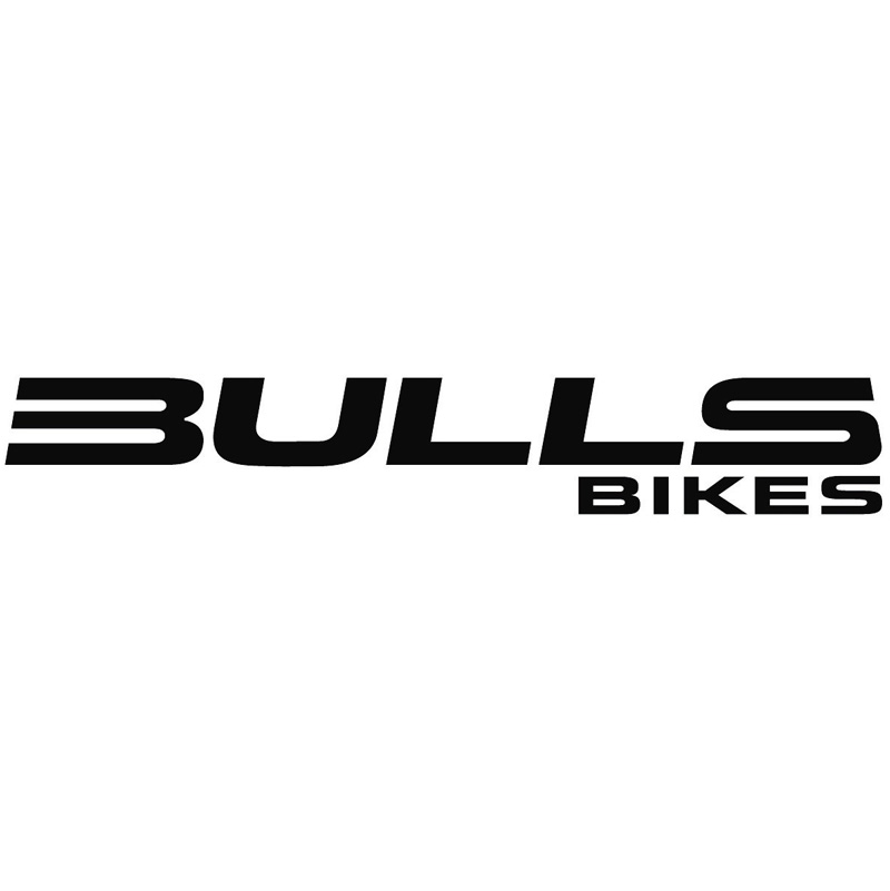max_Bulls_Logo